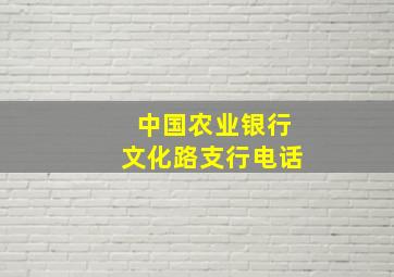 中国农业银行文化路支行电话