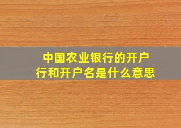 中国农业银行的开户行和开户名是什么意思