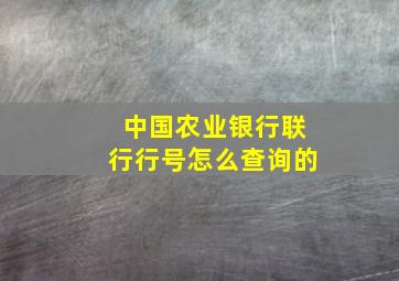 中国农业银行联行行号怎么查询的