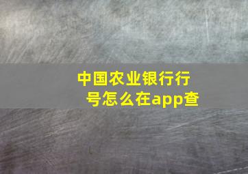 中国农业银行行号怎么在app查