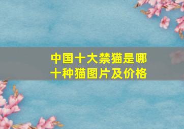 中国十大禁猫是哪十种猫图片及价格