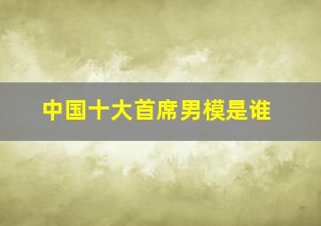 中国十大首席男模是谁