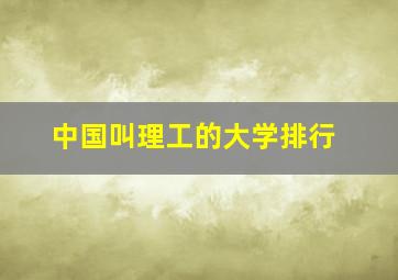 中国叫理工的大学排行