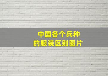 中国各个兵种的服装区别图片