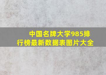 中国名牌大学985排行榜最新数据表图片大全