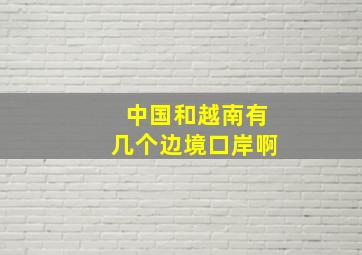 中国和越南有几个边境口岸啊