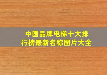 中国品牌电梯十大排行榜最新名称图片大全