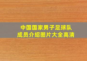 中国国家男子足球队成员介绍图片大全高清