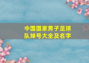 中国国家男子足球队绰号大全及名字