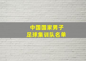 中国国家男子足球集训队名单