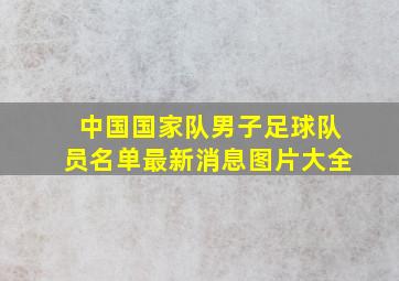 中国国家队男子足球队员名单最新消息图片大全