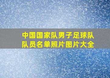 中国国家队男子足球队队员名单照片图片大全