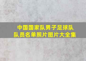 中国国家队男子足球队队员名单照片图片大全集