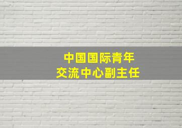 中国国际青年交流中心副主任