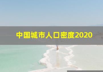 中国城市人口密度2020