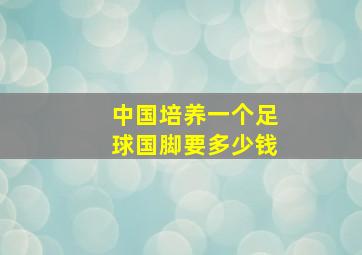 中国培养一个足球国脚要多少钱