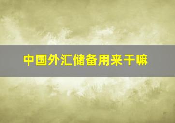 中国外汇储备用来干嘛