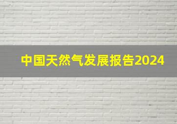 中国天然气发展报告2024