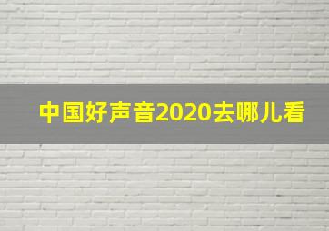 中国好声音2020去哪儿看