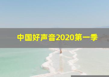 中国好声音2020第一季