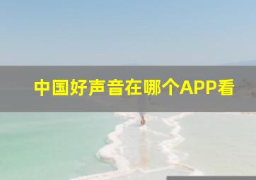 中国好声音在哪个APP看