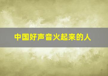 中国好声音火起来的人