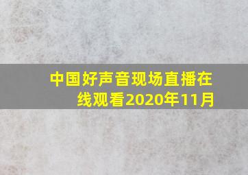 中国好声音现场直播在线观看2020年11月