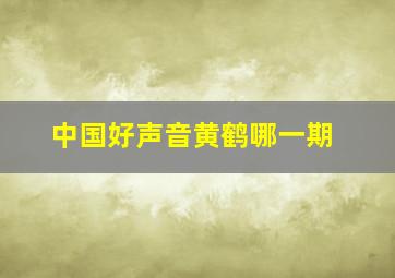 中国好声音黄鹤哪一期