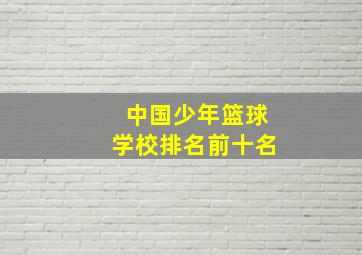 中国少年篮球学校排名前十名