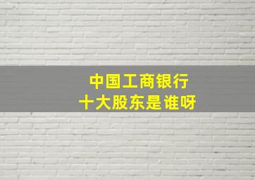 中国工商银行十大股东是谁呀