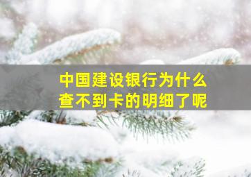 中国建设银行为什么查不到卡的明细了呢