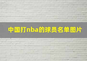 中国打nba的球员名单图片