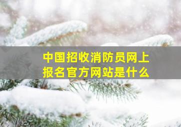 中国招收消防员网上报名官方网站是什么