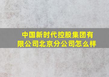 中国新时代控股集团有限公司北京分公司怎么样