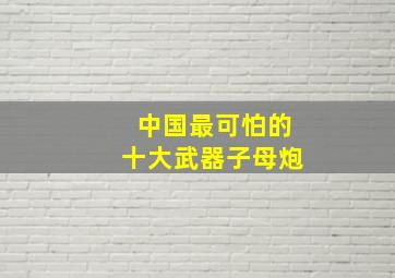 中国最可怕的十大武器子母炮