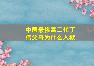 中国最惨富二代丁伟父母为什么入狱