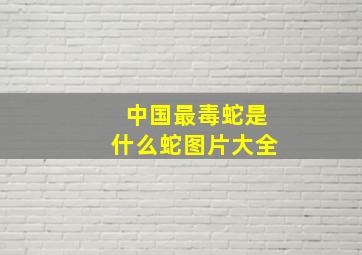 中国最毒蛇是什么蛇图片大全