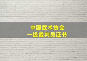 中国武术协会一级裁判员证书