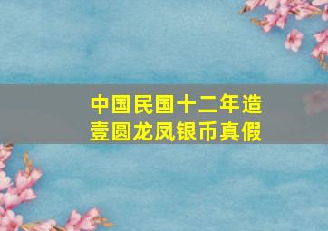 中国民国十二年造壹圆龙凤银币真假