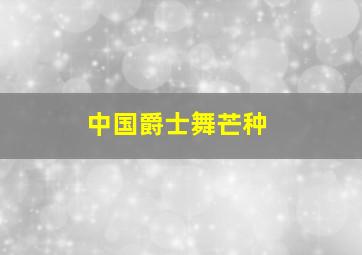 中国爵士舞芒种