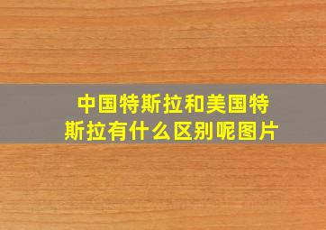 中国特斯拉和美国特斯拉有什么区别呢图片