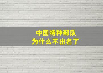 中国特种部队为什么不出名了