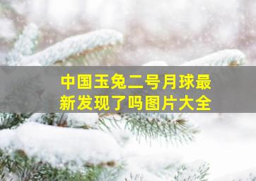 中国玉兔二号月球最新发现了吗图片大全