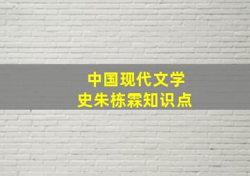 中国现代文学史朱栋霖知识点