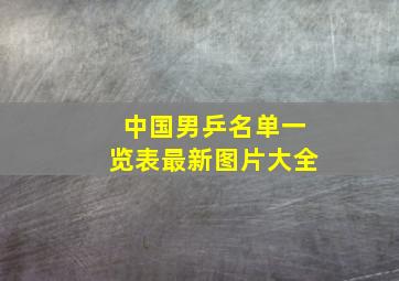 中国男乒名单一览表最新图片大全