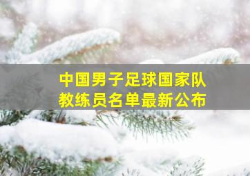 中国男子足球国家队教练员名单最新公布