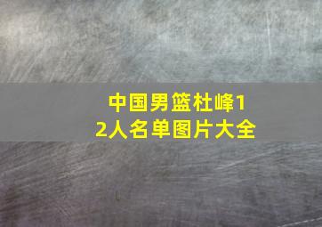 中国男篮杜峰12人名单图片大全