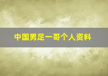 中国男足一哥个人资料