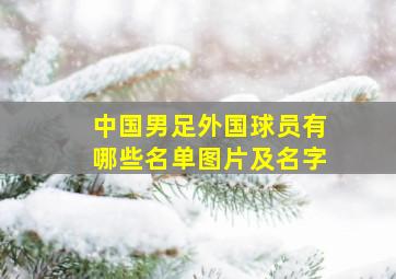 中国男足外国球员有哪些名单图片及名字