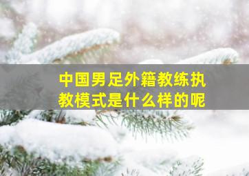 中国男足外籍教练执教模式是什么样的呢